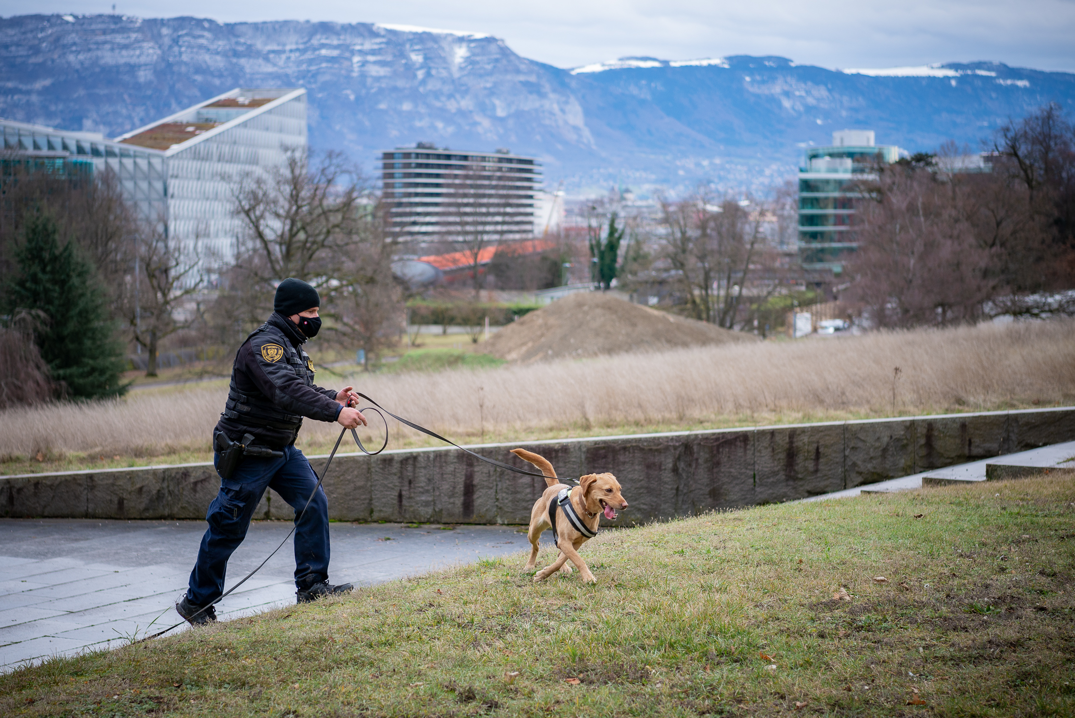Un chien renifleur du Service de sécurité et de sûreté de l’Office des Nations Unies à Genève