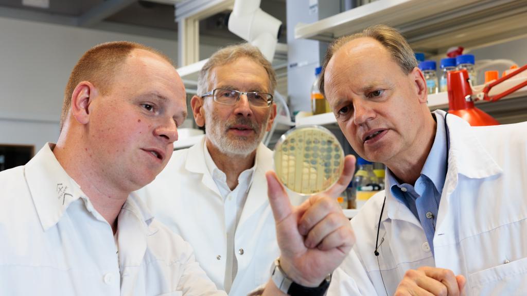 Bacteriophages : Christian van Delden, Thilo Köhler et Alexandre Luscher - Copyright : Jonathan Imhof/ HUG