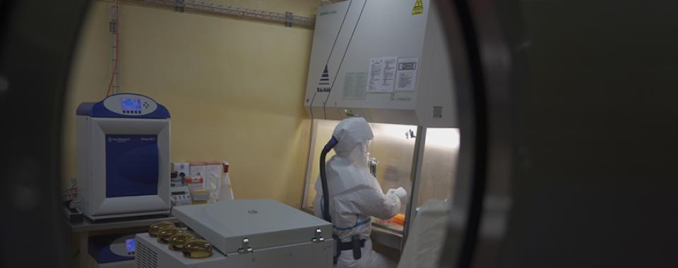 Laboratoire de virologie BSL3© IVI » 